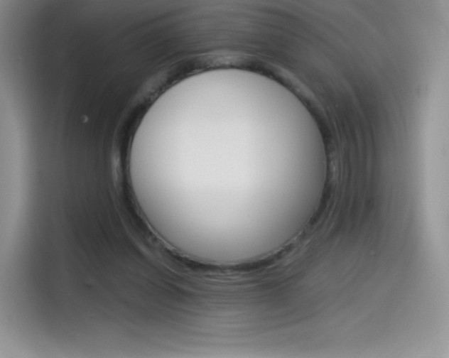 X0000114430254200910161038
