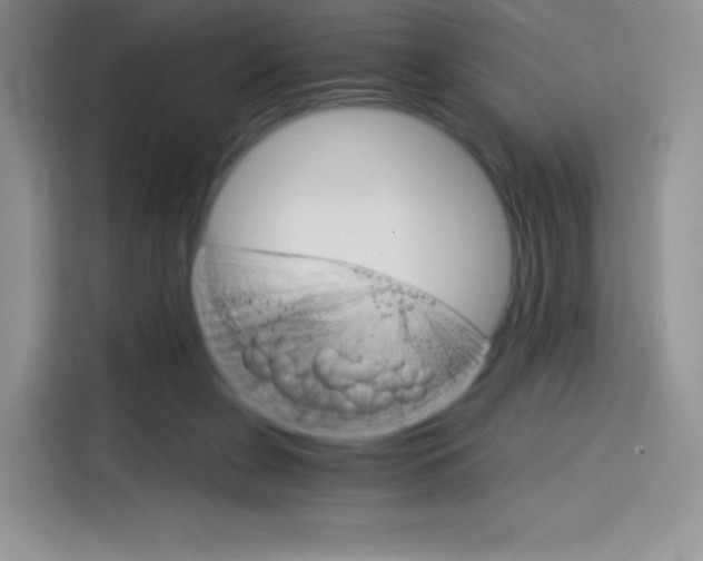 X0000114430255200910161038