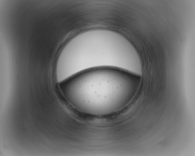 X0000114430256200910161038