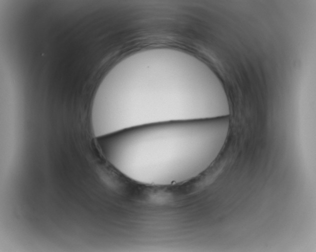 X0000114430258200910161038