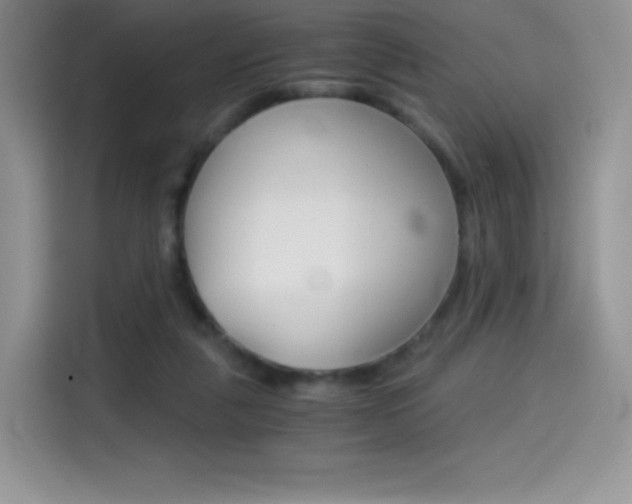 X0000114430259200910161038