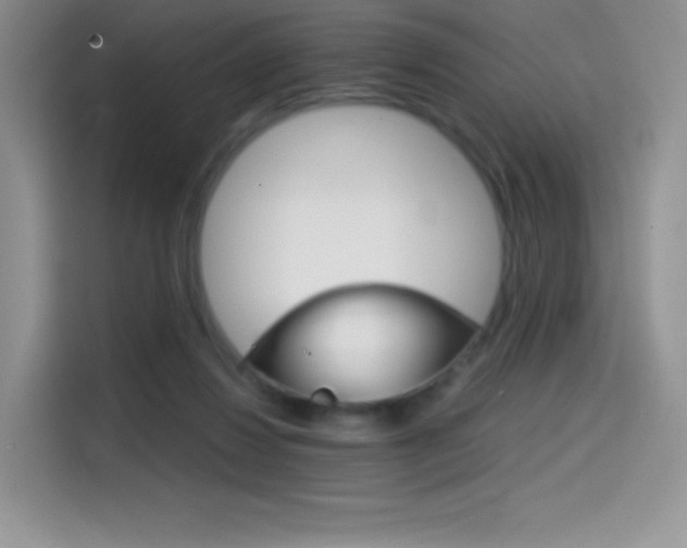 X0000114430260200910161038