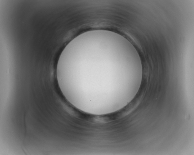 X0000114430261200910161038