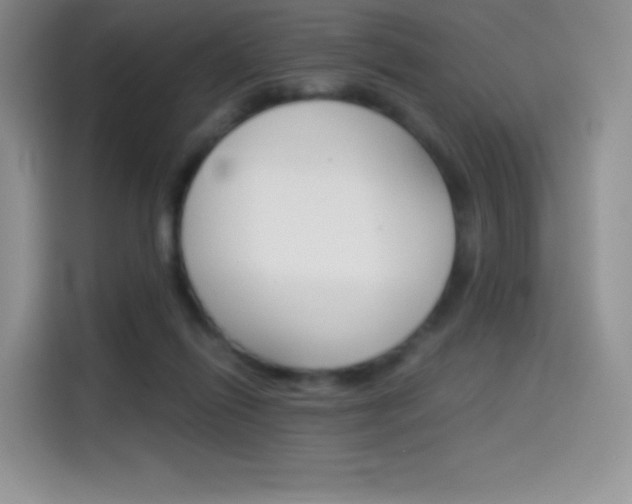 X0000114430262200910161038
