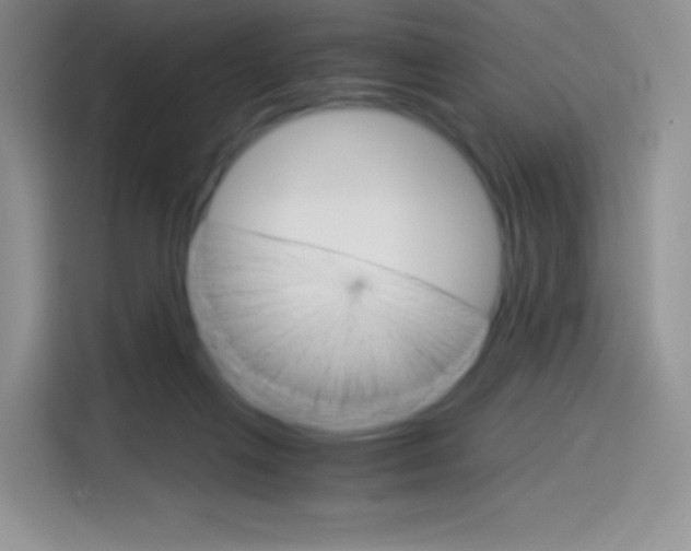 X0000114430263200910161038