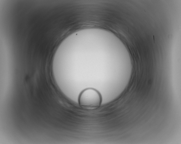 X0000114430264200910161038