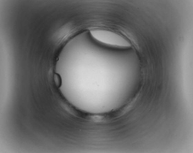 X0000114430265200910161038