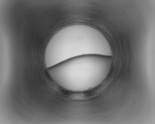 X0000114430266200910161038