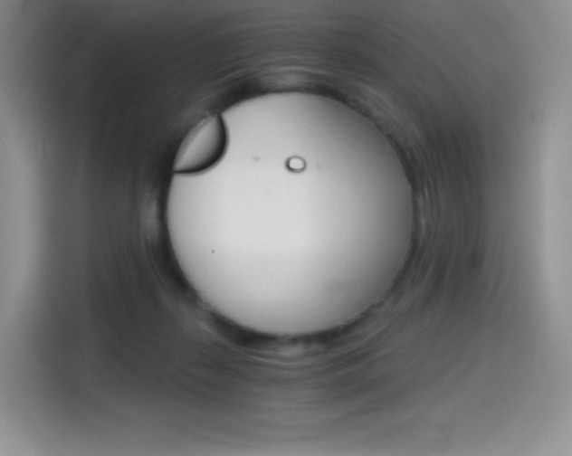 X0000114430267200910161038