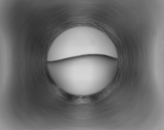 X0000114430270200910161038