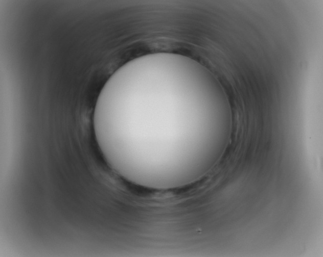 X0000114430271200910161038