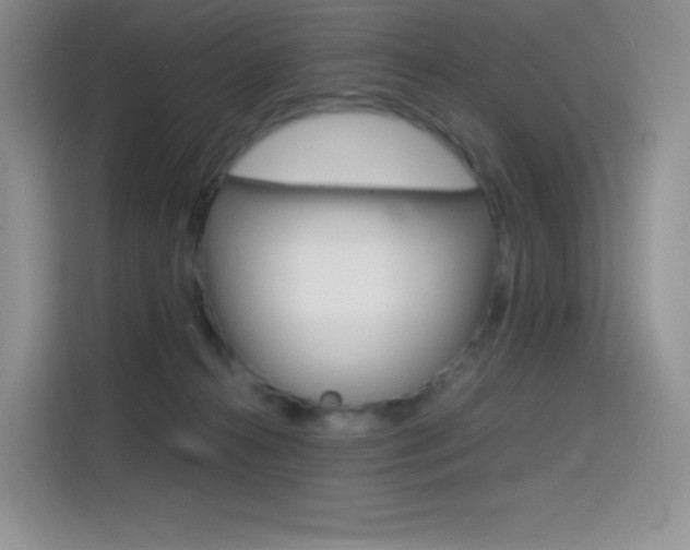 X0000114430272200910161038