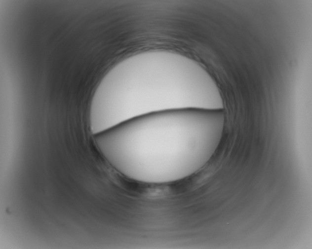 X0000114430274200910161038