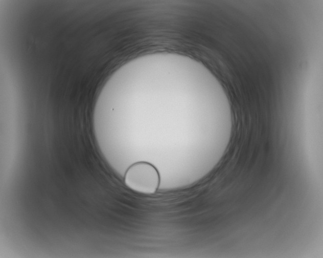 X0000114430276200910161038