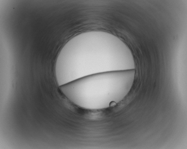X0000114430278200910161038