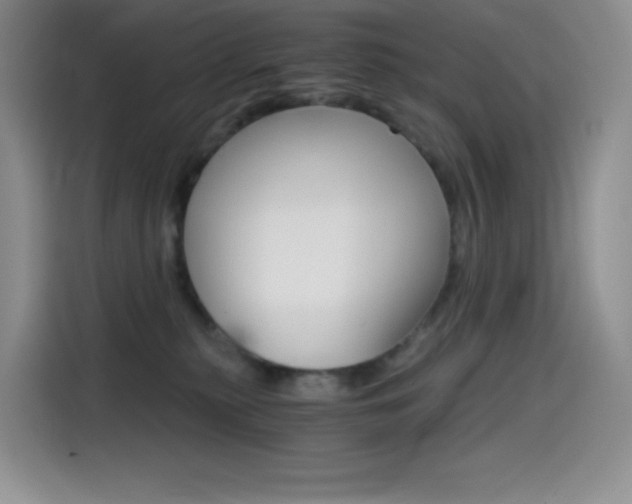 X0000114430279200910161038