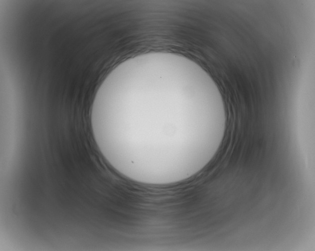 X0000114430280200910161038