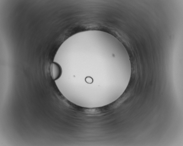 X0000114430281200910161038