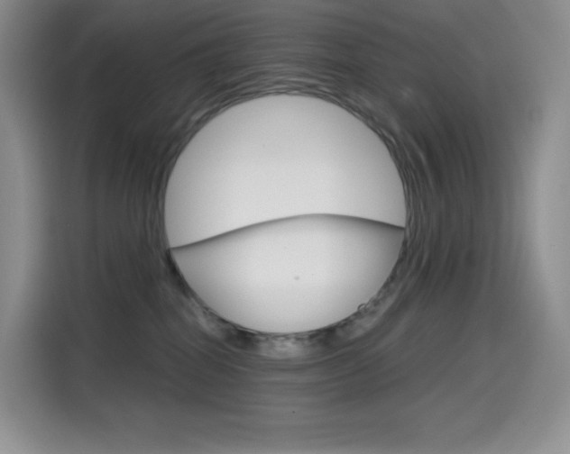 X0000114430282200910161038