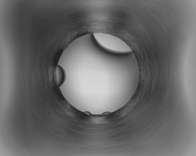 X0000114430283200910161038