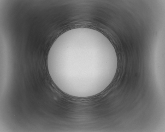 X0000114430284200910161038