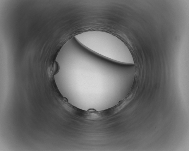 X0000114430285200910161038