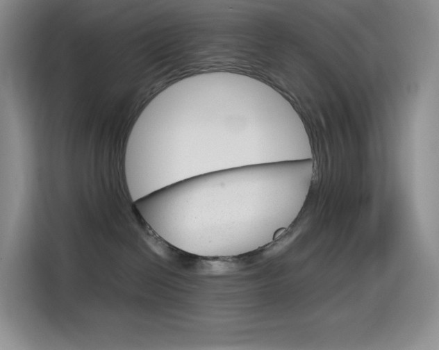 X0000114430286200910161038
