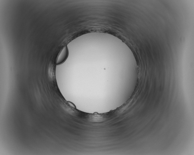 X0000114430287200910161038