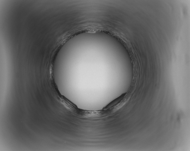 X0000114430288200910161038
