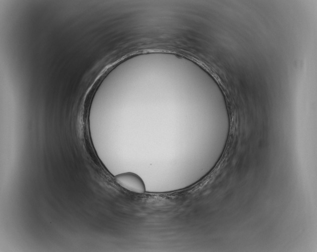 X0000114430290200910161037