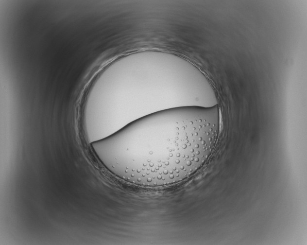 X0000114430291200910161037