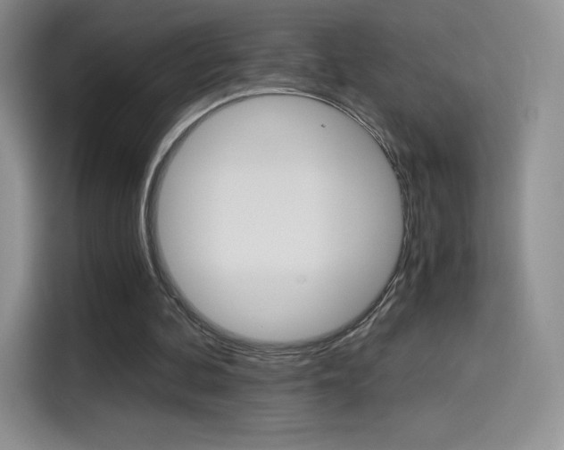 X0000114430292200910161037