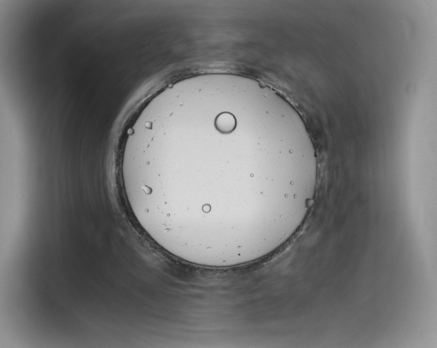 X0000114430293200910161037