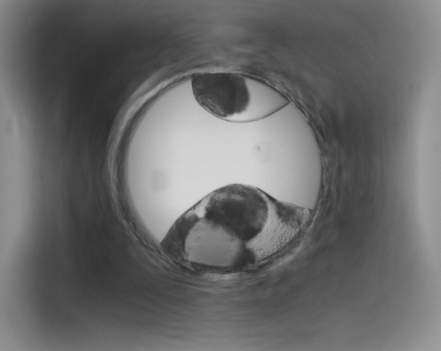 X0000114430295200910161037