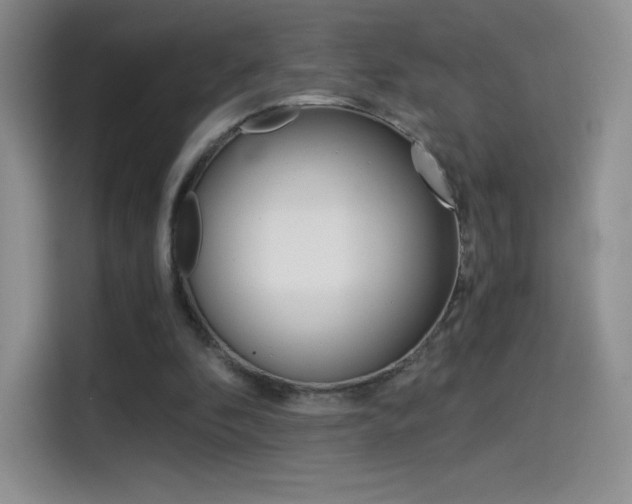 X0000114430296200910161037