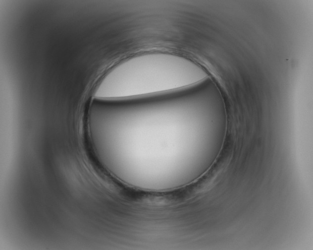 X0000114430299200910161037
