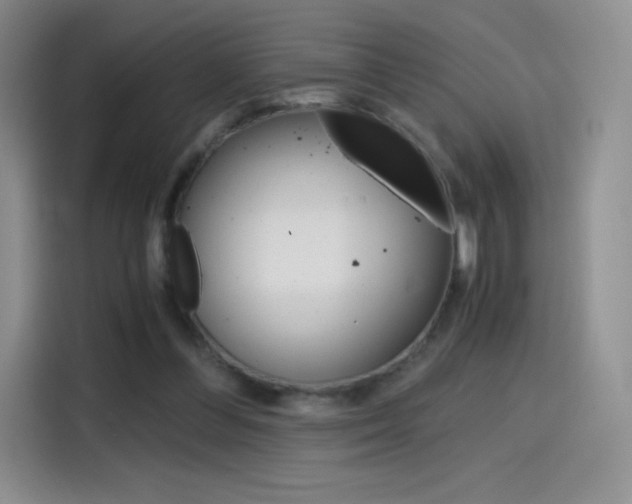 X0000114430300200910161037