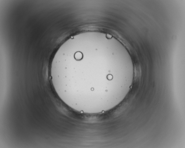 X0000114430301200910161037