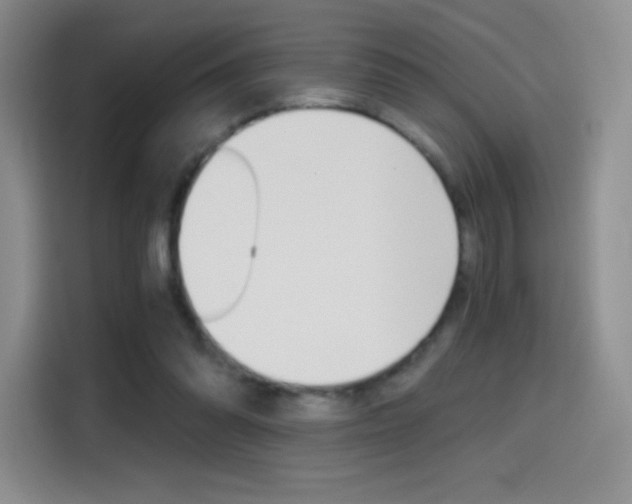 X0000114430302200910161037