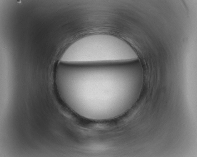 X0000114430303200910161037