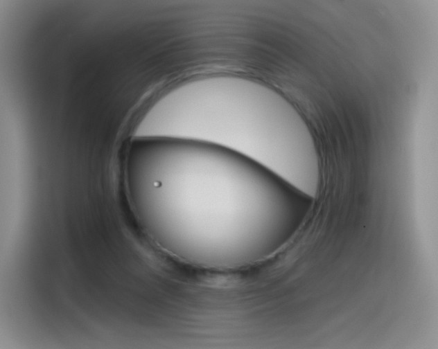 X0000114430304200910161037