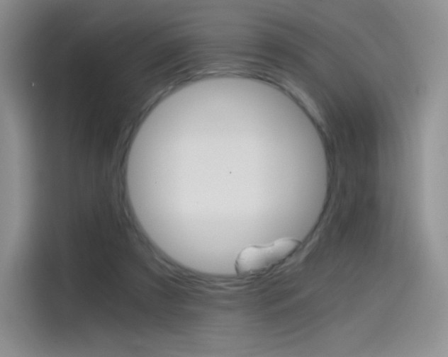 X0000114430305200910161037