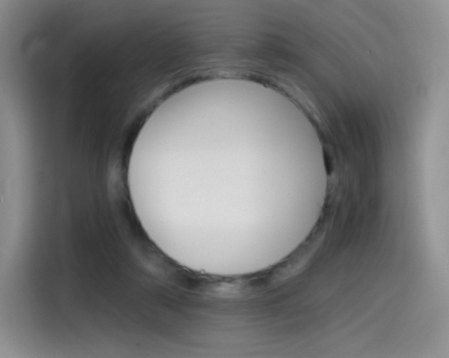 X0000114430306200910161037
