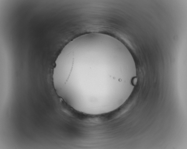 X0000114430307200910161037