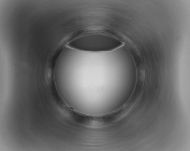X0000114430308200910161037