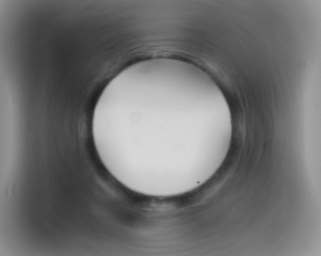 X0000114430311200910161037