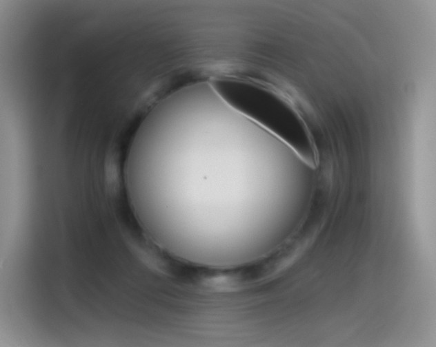 X0000114430312200910161037
