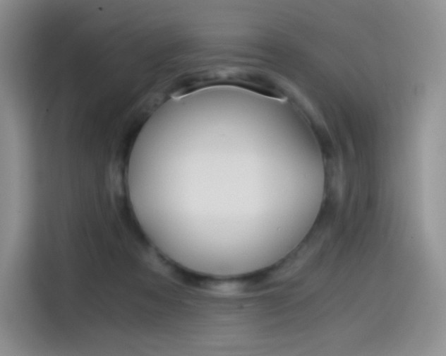 X0000114430313200910161037