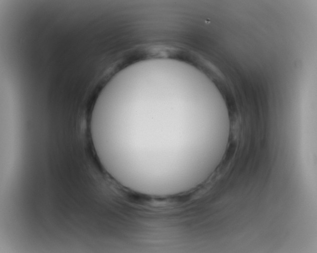 X0000114430314200910161037