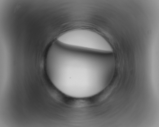 X0000114430315200910161037